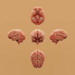 Dlaczego wierzymy w teorie spiskowe? Mechanizmy psychologiczne